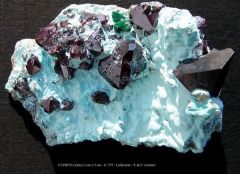 Cuprite sur Chrysocolle (Zaïre)