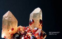 Grenat Var. Spessartite sur quartz (Fujian - Chine)