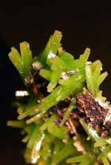 Plus d’informations sur « Pyromorphite »