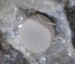 Phillipsite