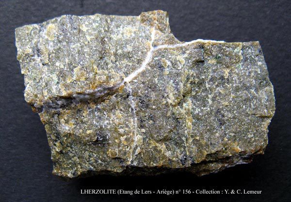Lherzolite (Etang de Lers - Ariège)
