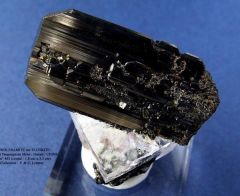 Wolframite sur Fluorite (Yaogangxian - Chine)