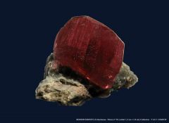 Rhodochrosite (Uchuchacua - Pérou)