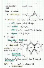 3_inosilicate1