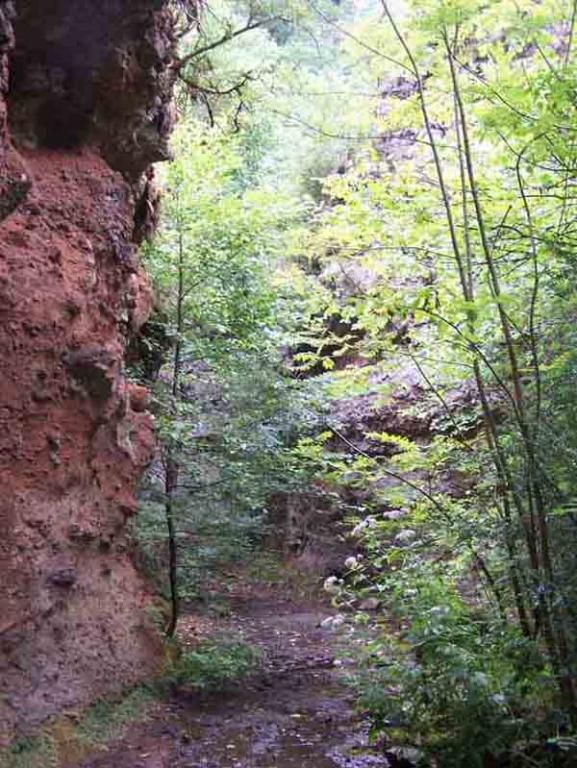 Le Coiron : ses volcans et son volcanisme en photo