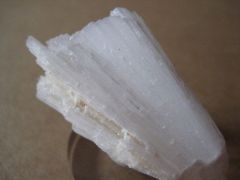 Scolecite