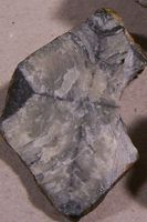 chiastolite