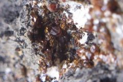 sphalérite et chalcopyrite Lozere