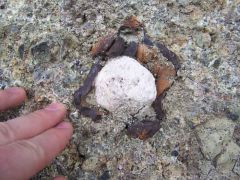 boule de diatomite ou argile dans coque de limonite.jpg