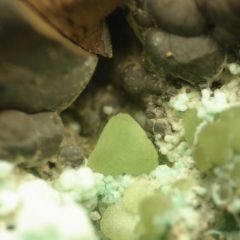 chessy smithsonite Julien06.jpg