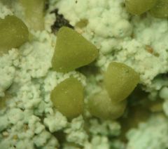 chessy smithsonite Julien02.jpg