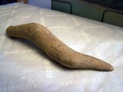100_3746.jpg