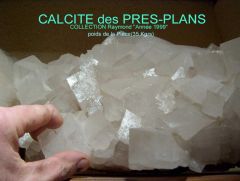 3-calcite-Raymond-Pres-Plan.jpg