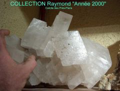 1-COLLECTION-Raymond-Annee-.jpg