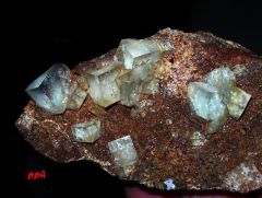 fluorine gemme cristaux de 1 à 2 cm Puit de Barlet