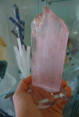 kunzite Pech Pakistan 15cm