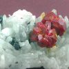 Realgar et pyrite sur quartz, Perou