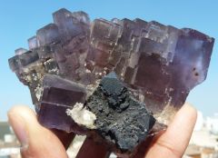 Fluorite et Galène - USA