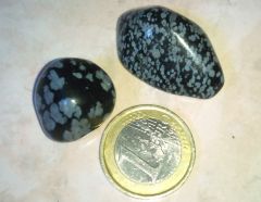 Obsidiennes neiges