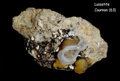 Lussatite