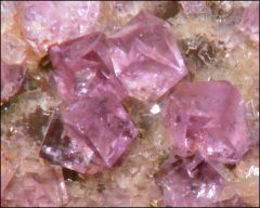fluorite rose Frazers's Husk