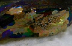 verre antique