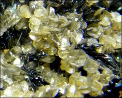 stibnite calcite