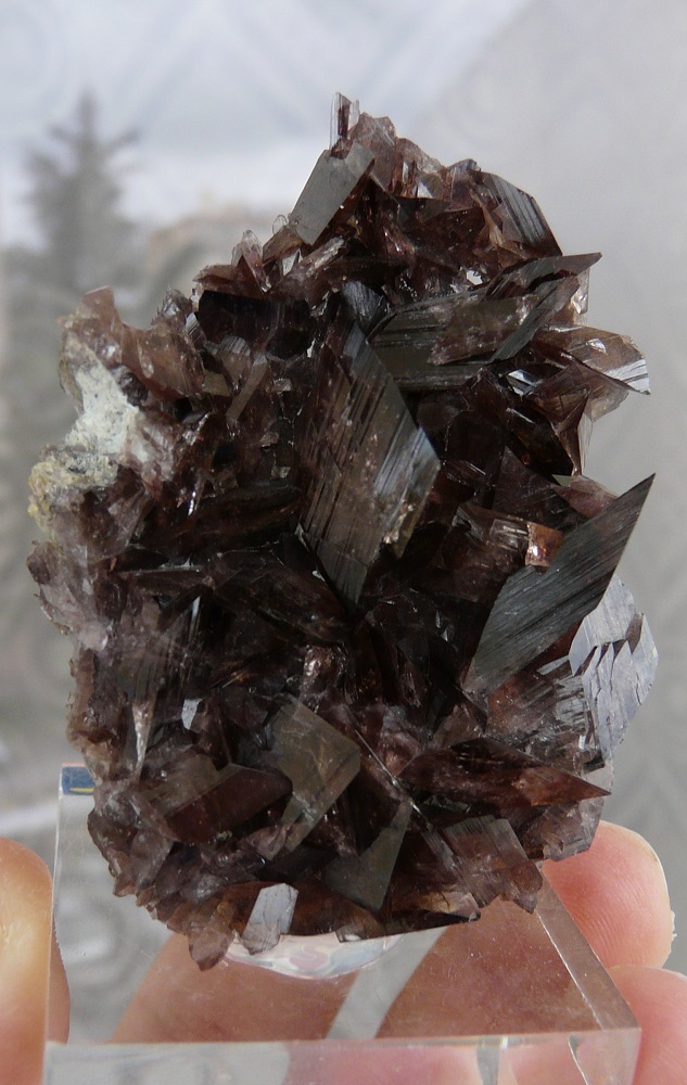 Axinite, Rocher d'Armentier, Oisan, Isère, France.