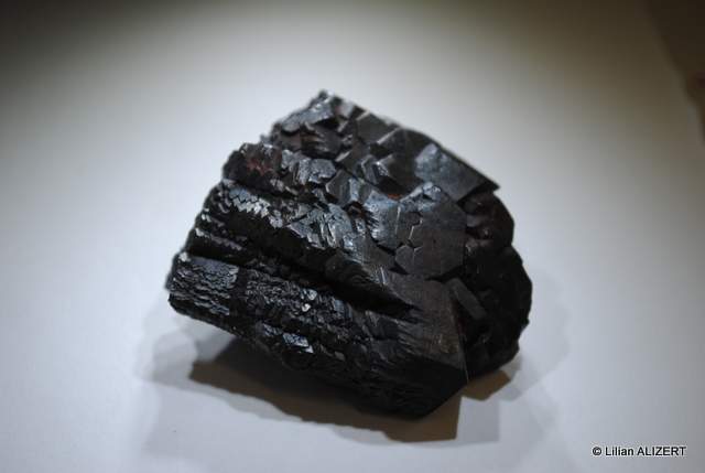 Magnétite (coll. W.F)