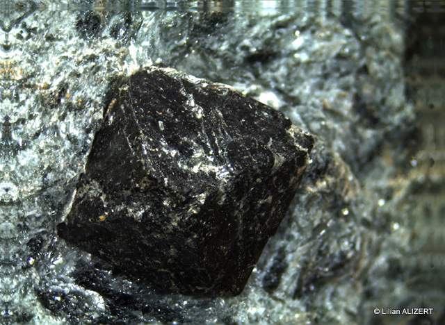 magnétite  sur micaschiste (Col d'Amos)