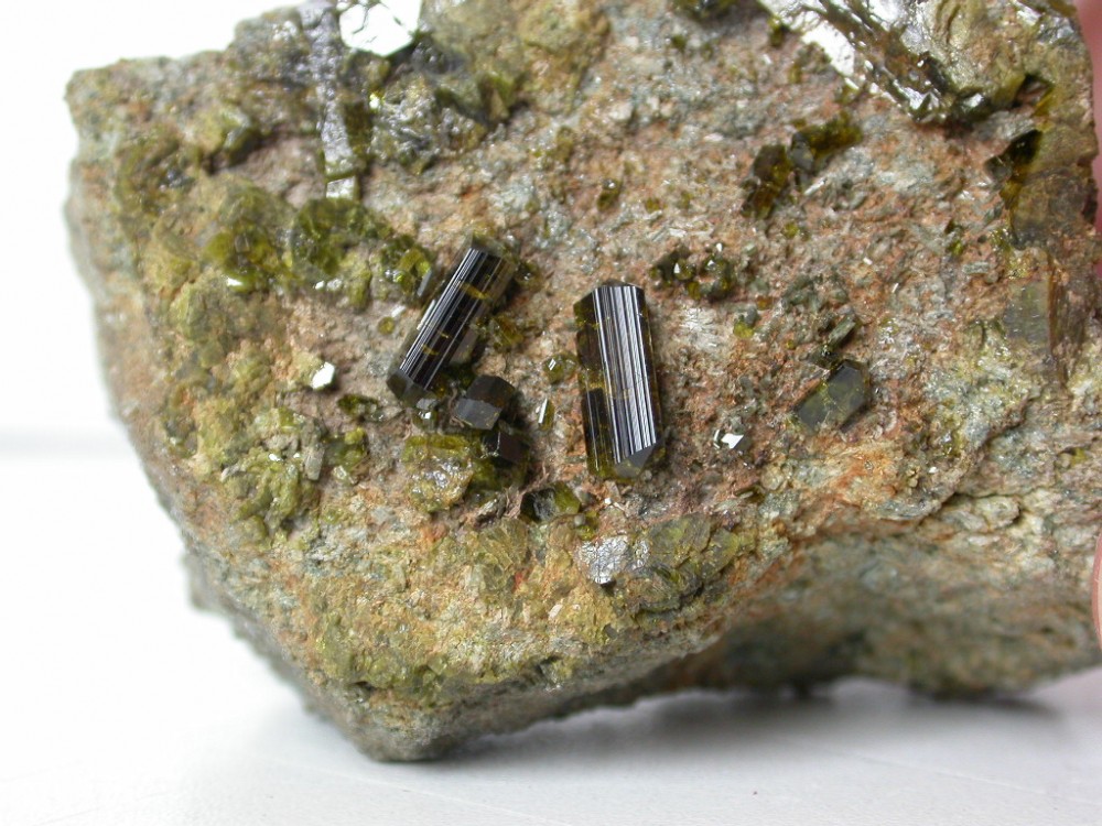 Epidote_Italie_Turin__Valli_di_Lanzo___Val_di_Vi___Margone_5.JPG