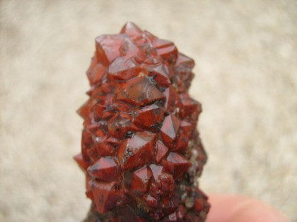 post-2090-1201019246_thumb.jpg