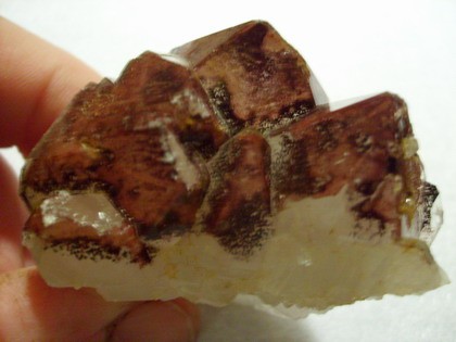 post-2090-1201021748_thumb.jpg