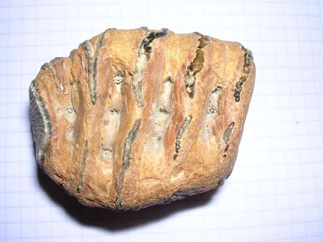 post-3069-1201243953_thumb.jpg