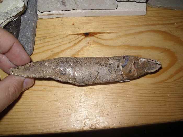 post-3126-1201694851_thumb.jpg