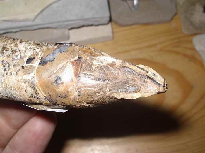 post-3126-1201694870_thumb.jpg