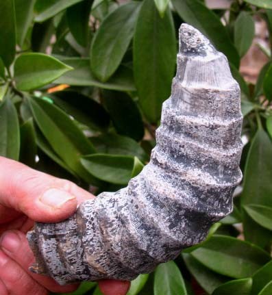 post-4495-1233059040_thumb.jpg