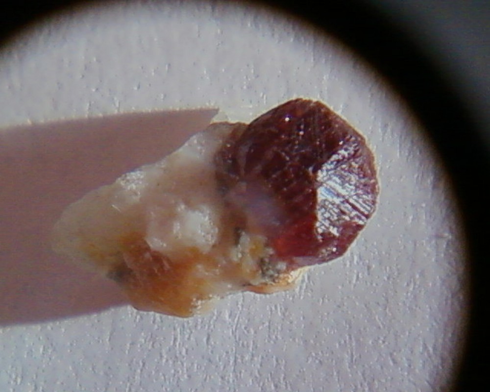 post-5146-1232453415_thumb.jpg