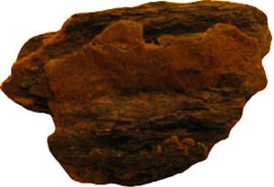 post-5235-1231772536_thumb.jpg