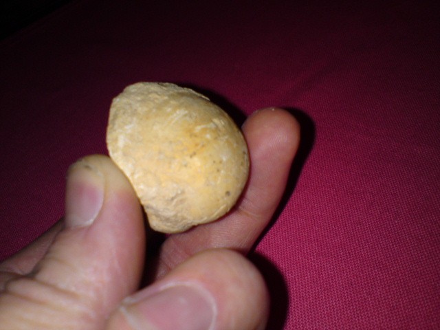 post-7491-1263580365_thumb.jpg