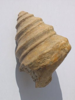 post-1628-1172672700_thumb.jpg
