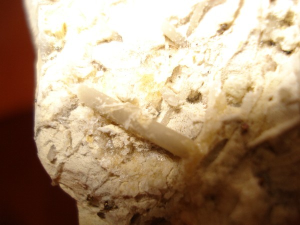 post-1931-1204287494_thumb.jpg