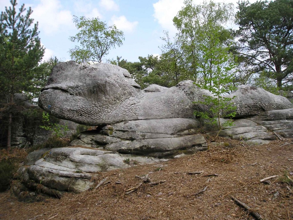 Fontainebleau.jpg