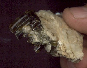 post-28-1202839519_thumb.jpg