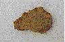 post-3068-1202304880_thumb.gif
