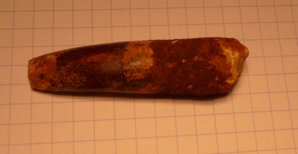 post-2639-1234871516_thumb.jpg