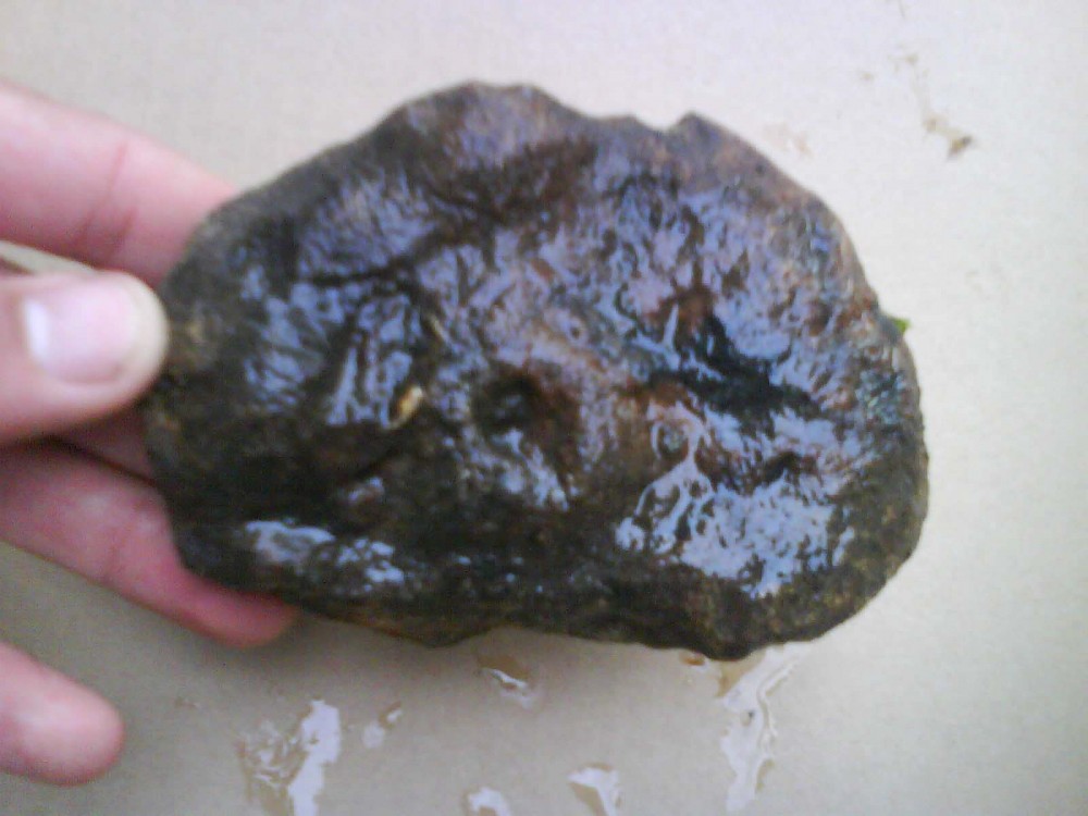post-3364-1235496289_thumb.jpg