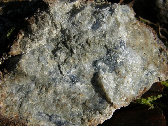 post-5032-1235051139_thumb.jpg