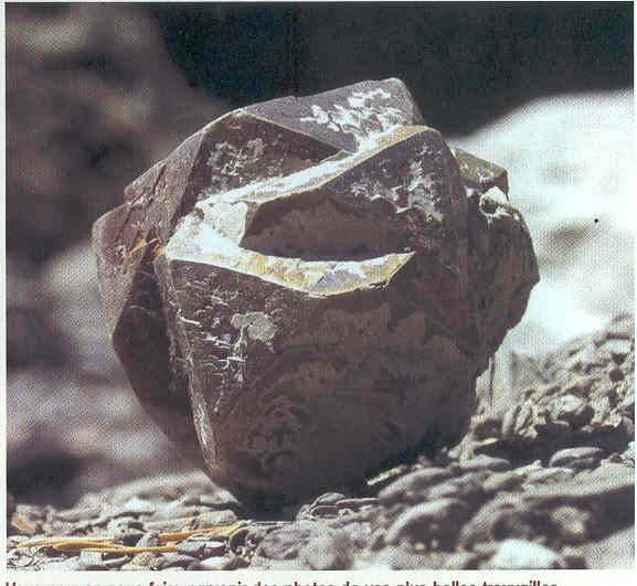 post-897-1235098679_thumb.jpg