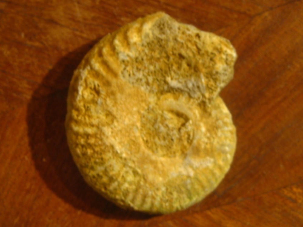 post-7627-1265844310_thumb.jpg